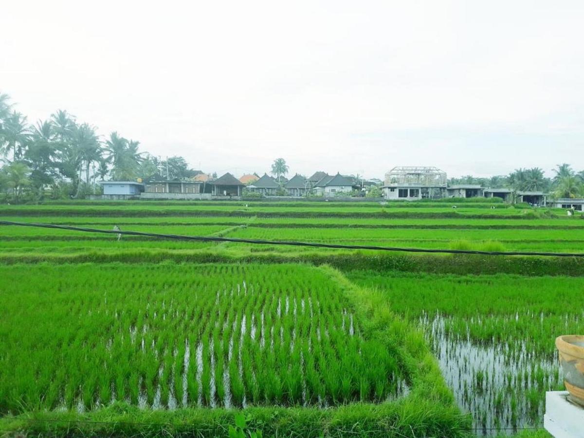 Tantra House Ubud Экстерьер фото